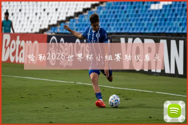 哈勒2026世界杯小组赛助攻看点