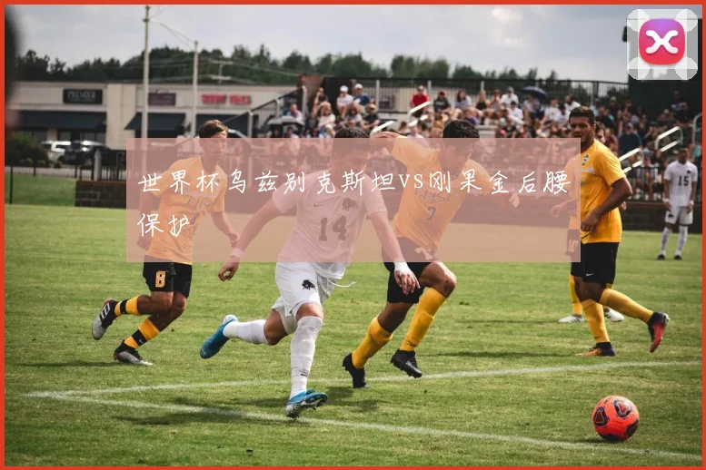 世界杯乌兹别克斯坦vs刚果金后腰保护