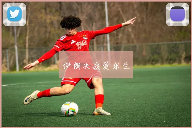 伊朗决战爱尔兰