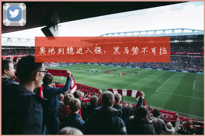 奥地利稳进八强,黑马势不可挡