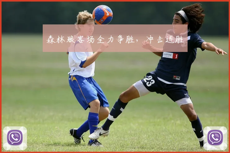 森林狼客场全力争胜,冲击连胜