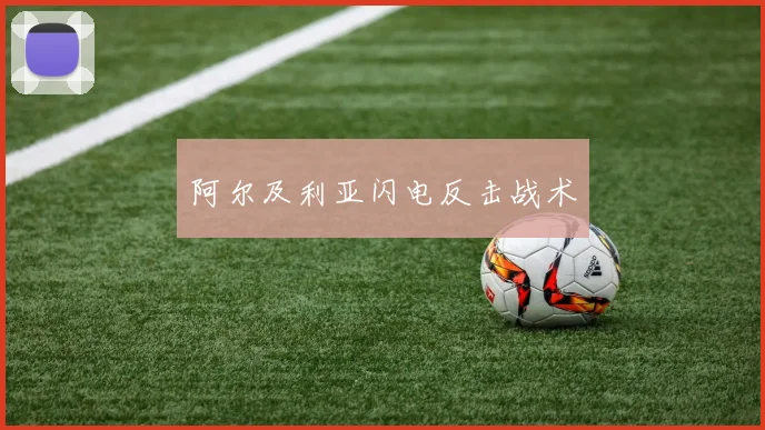 阿尔及利亚闪电反击战术