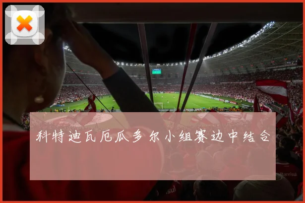 科特迪瓦厄瓜多尔小组赛边中结合