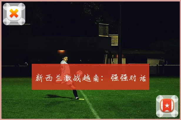 新西兰激战越南:强强对话
