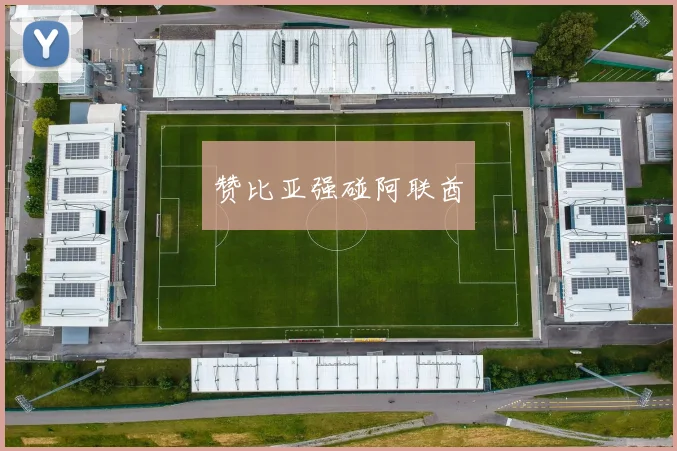 赞比亚强碰阿联酋