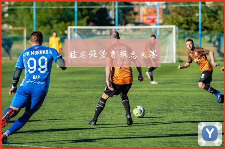 猛龙强势晋级总决赛