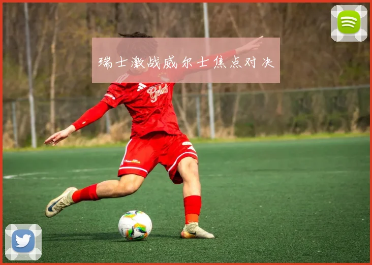 瑞士激战威尔士焦点对决