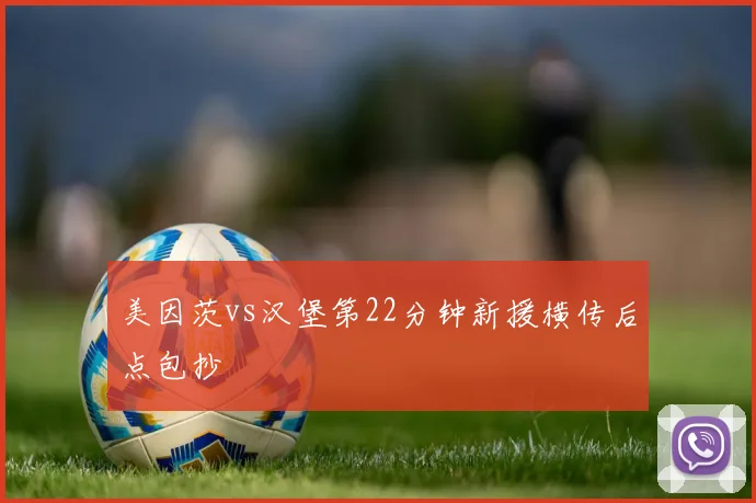 美因茨vs汉堡第22分钟新援横传后点包抄