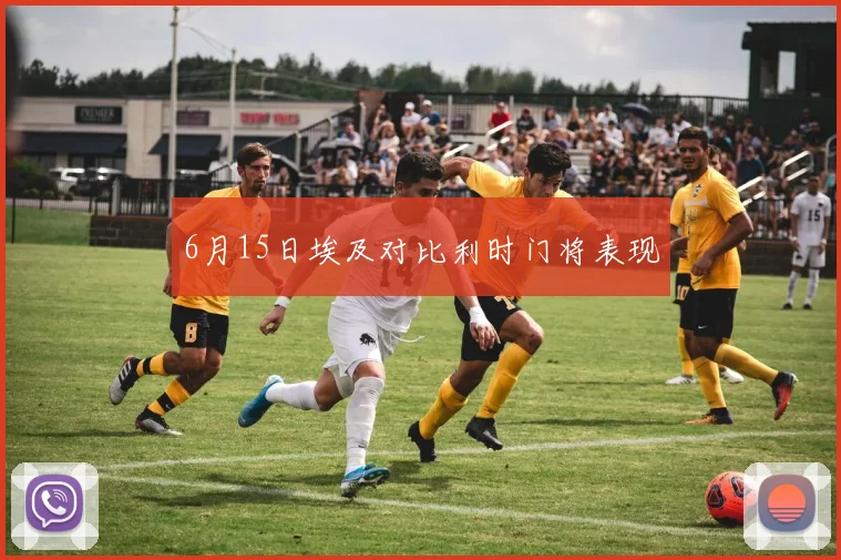 6月15日埃及对比利时门将表现