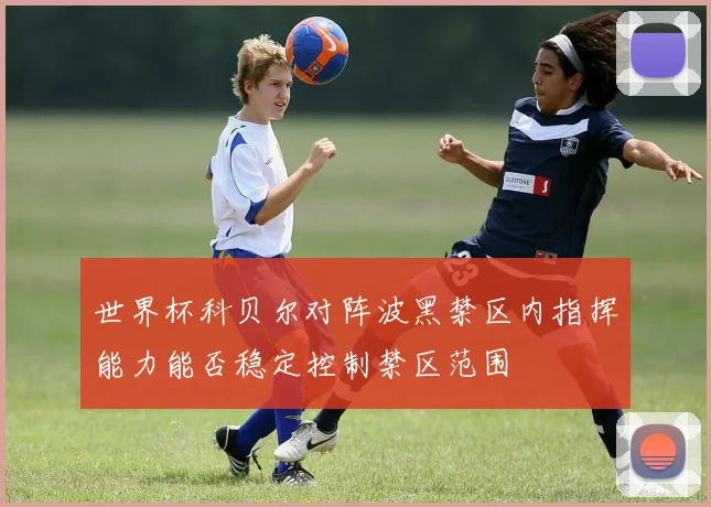 世界杯科贝尔对阵波黑禁区内指挥能力能否稳定控制禁区范围