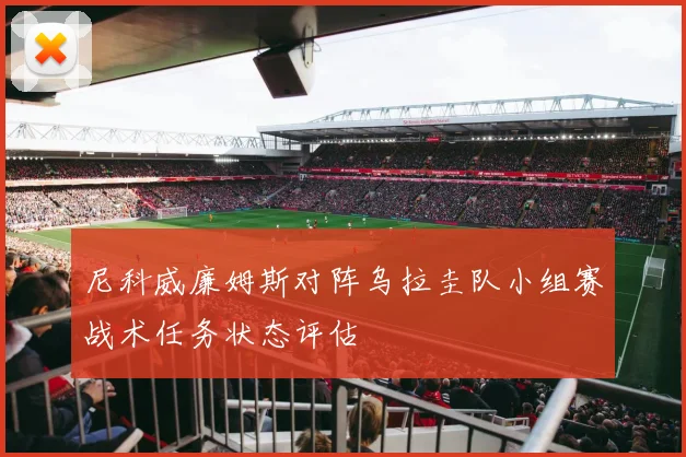 尼科威廉姆斯对阵乌拉圭队小组赛战术任务状态评估