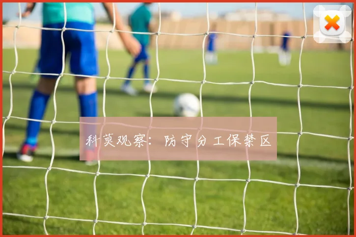 科莫观察:防守分工保禁区