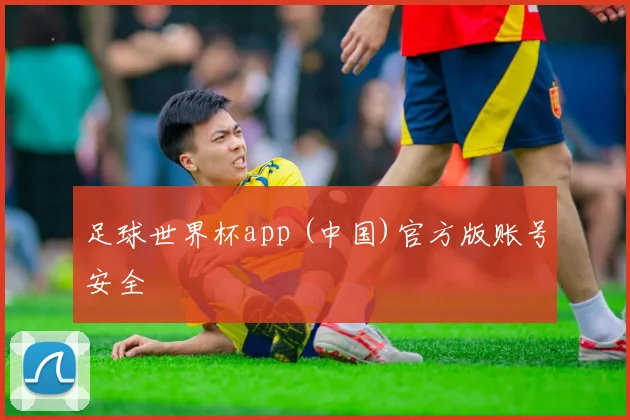 足球世界杯app (中国)官方版账号安全